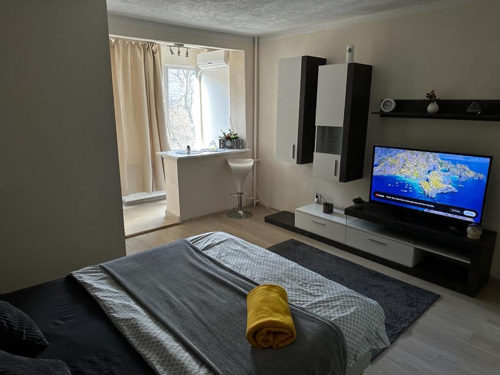 Reeas Apartament Timisoara Exterior foto